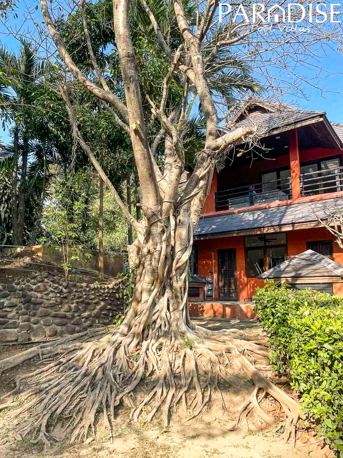 picture of a house